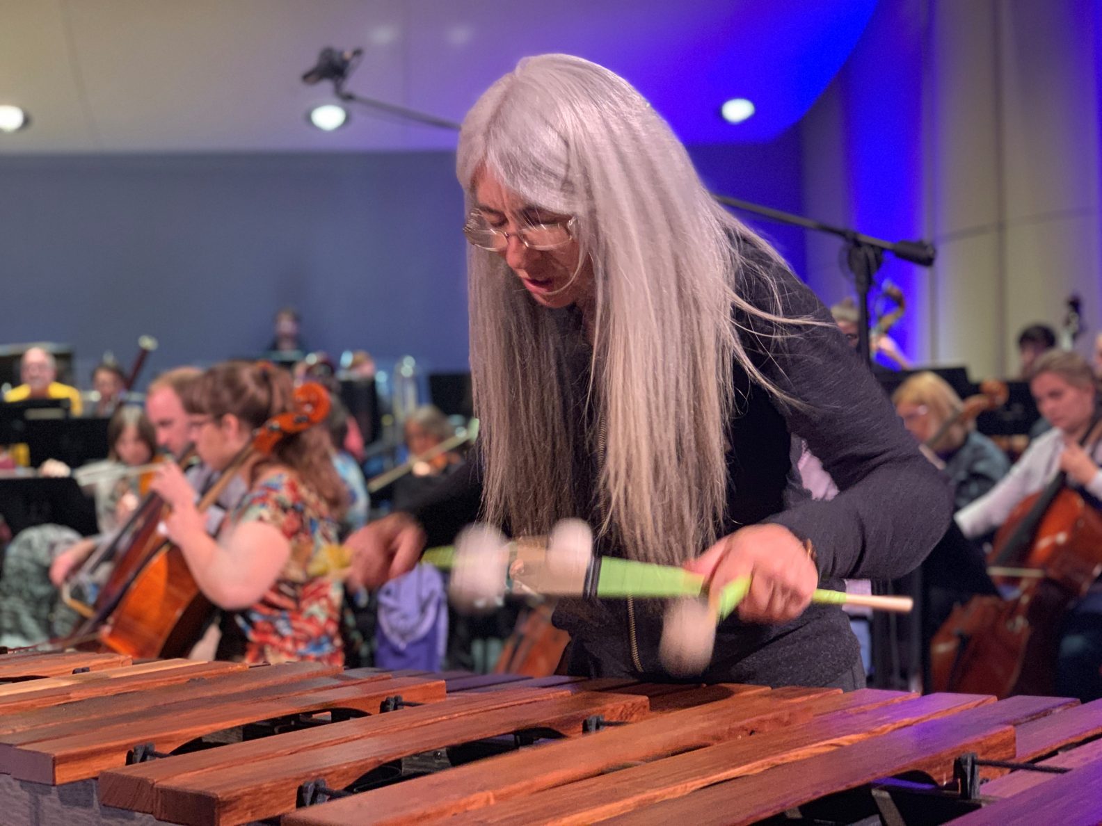 Evelyn Glennie playing the marimba with two mallets