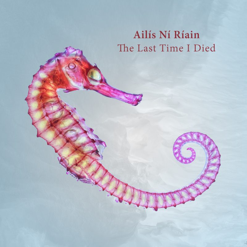 Cover for Ailís Ní Ríain - The Last Time I Died