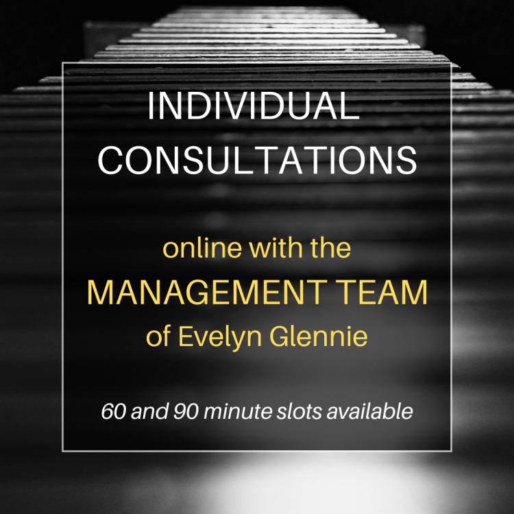 Individual Online Consultations with the Management Team of Evelyn Glennie